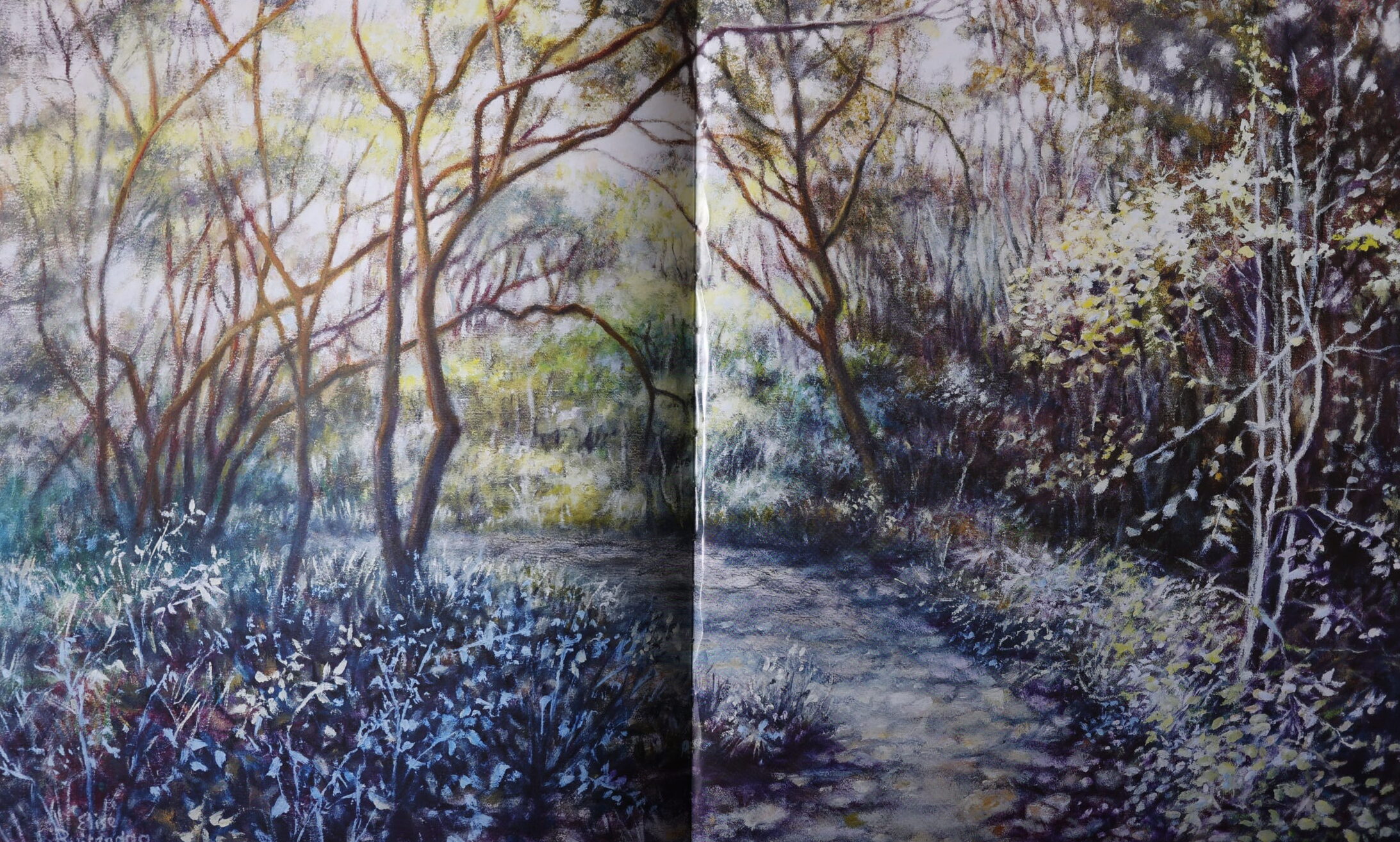 Genesis of a Garden